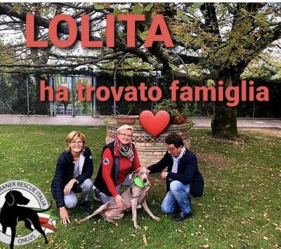 adoption image Lolita